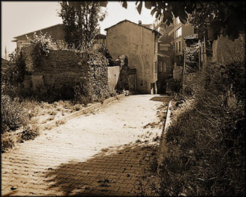 image2.jpg