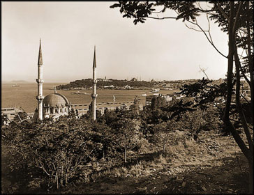 image3.jpg