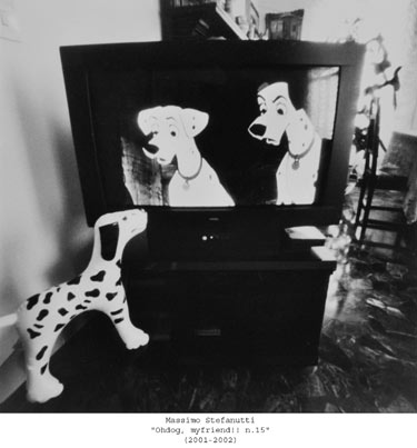 ohdog15.jpg