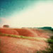 Feld2_icon.jpg