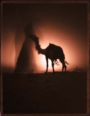 GIZA_I.JPG
