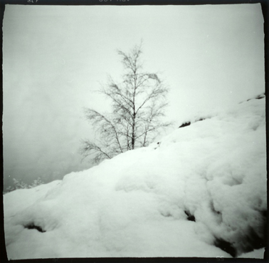 winter1.jpg