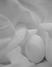 egg-3_icon.jpg
