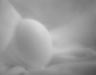 egg-4_icon.jpg