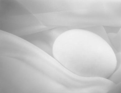 egg1.jpg