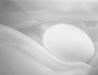 egg1_icon.jpg