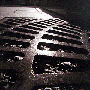 grated.jpg